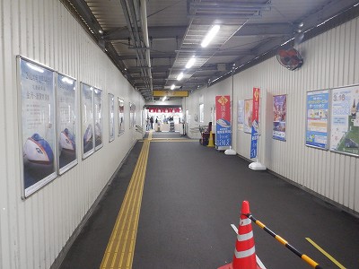 ���ꉷ��w�摜