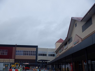 ���ꉷ��w�摜