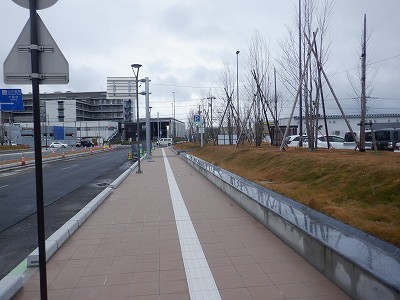 ���ꉷ��w�摜