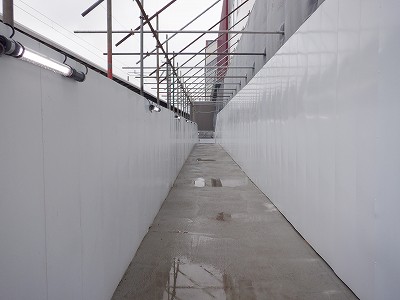 ���ꉷ��w�摜