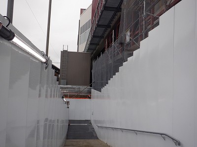 ���ꉷ��w�摜