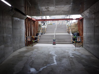 ���ꉷ��w�摜