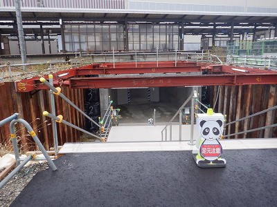 ���ꉷ��w�摜