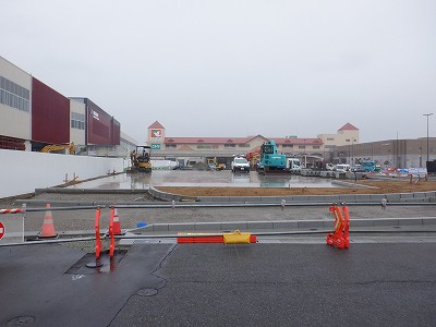 ���ꉷ��w�摜