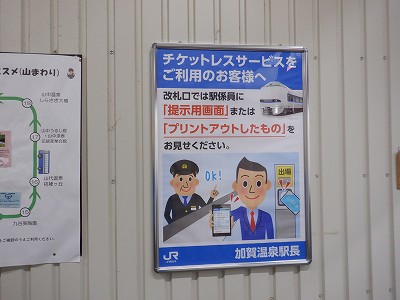 ���ꉷ��w�摜