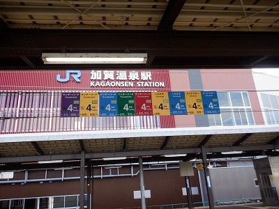 ���ꉷ��w�摜