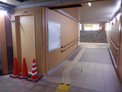 ���ꉷ��w�摜