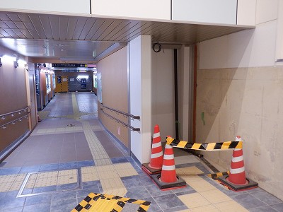 ���ꉷ��w�摜