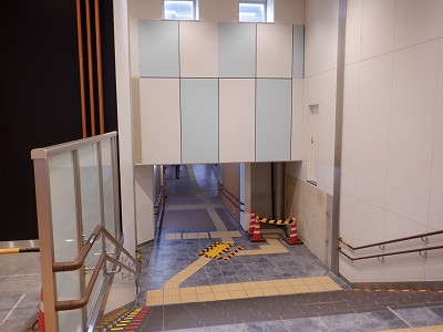 ���ꉷ��w�摜