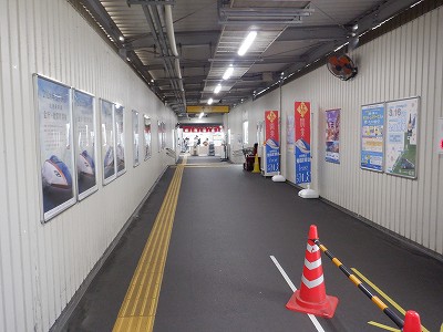 ���ꉷ��w�摜