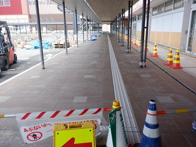 ���ꉷ��w�摜