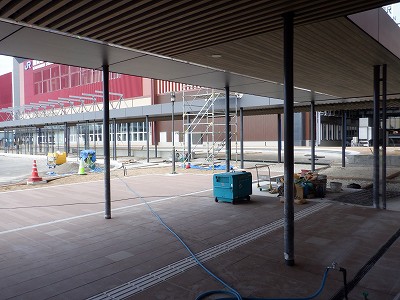 ���ꉷ��w�摜