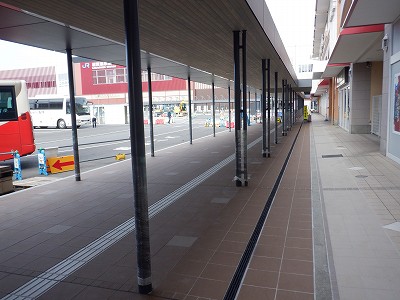 ���ꉷ��w�摜