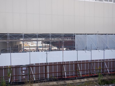 ���ꉷ��w�摜