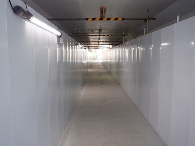 ���ꉷ��w�摜