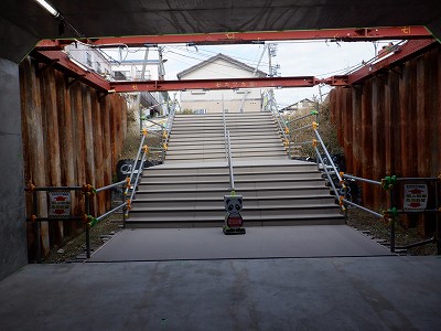 ���ꉷ��w�摜