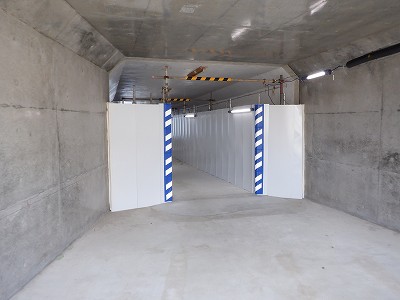 ���ꉷ��w�摜