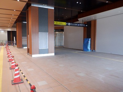 ���ꉷ��w�摜