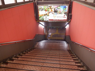 ���ꉷ��w�摜