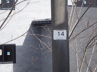 ���ꉷ��w�摜