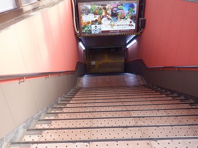 ���ꉷ��w�摜