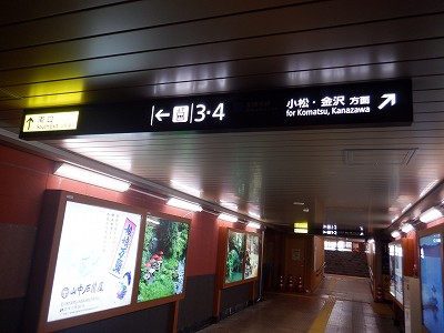 ���ꉷ��w�摜