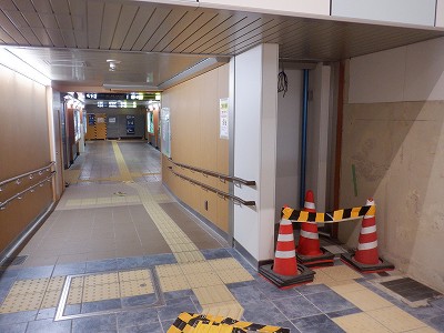 ���ꉷ��w�摜