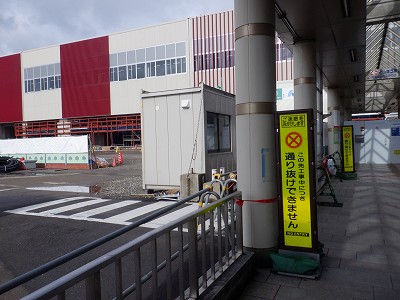 ���ꉷ��w�摜