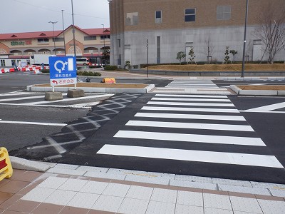 ���ꉷ��w�摜