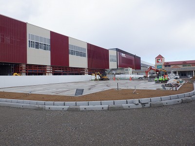 ���ꉷ��w�摜