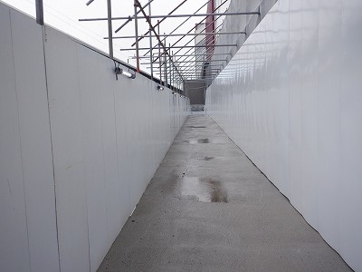 ���ꉷ��w�摜