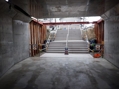 ���ꉷ��w�摜