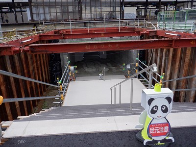 ���ꉷ��w�摜