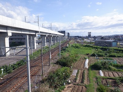 ��������w�摜