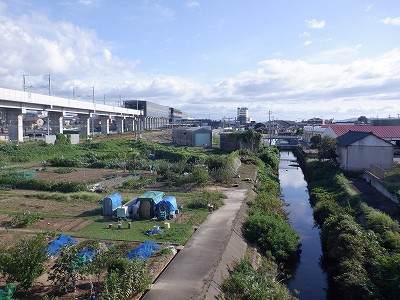 ��������w�摜