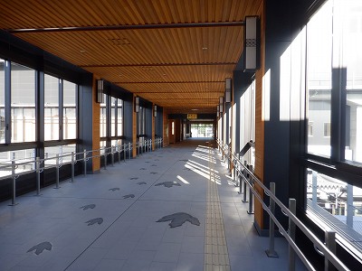 ��������w�摜