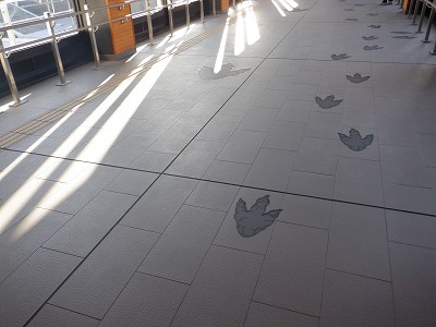 ��������w�摜