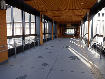 ��������w�摜