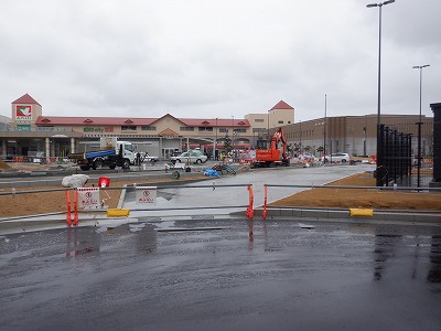 ���ꉷ��w�摜