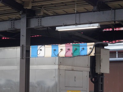 ���ꉷ��w�摜