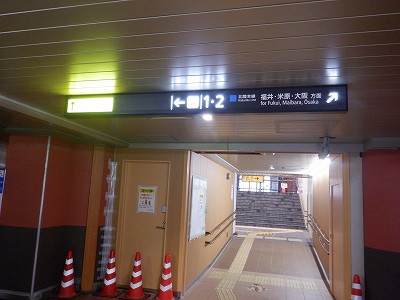 ���ꉷ��w�摜