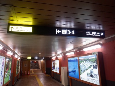 ���ꉷ��w�摜