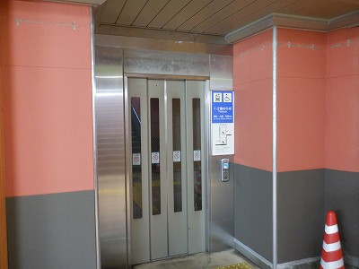 ���ꉷ��w�摜