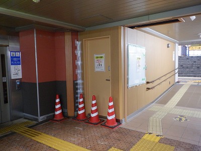 ���ꉷ��w�摜