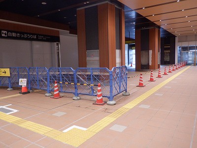 ���ꉷ��w�摜