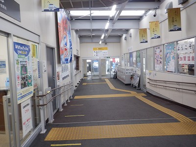 ���ꉷ��w�摜