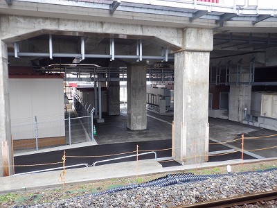 ���ꉷ��w�摜