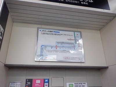 ���ꉷ��w�摜