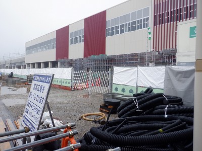 ���ꉷ��w�摜