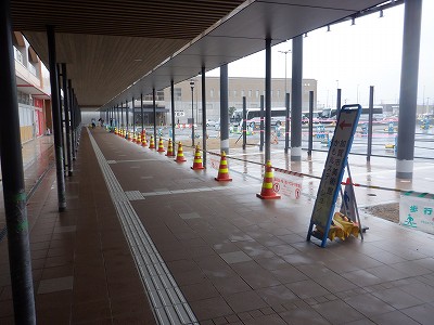 ���ꉷ��w�摜